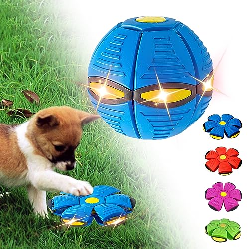 Blue Interactive Flying Saucer Ball for Poodles