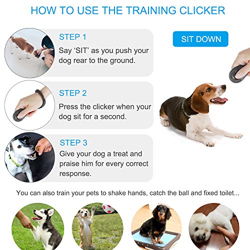 Poodle Dog Clicker Set - 4 Multicolor Training Clickers
