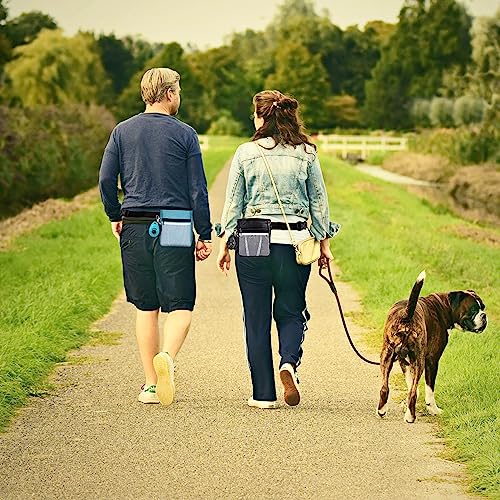 Poodle Dog Clicker Training Kit with Treat Pouch