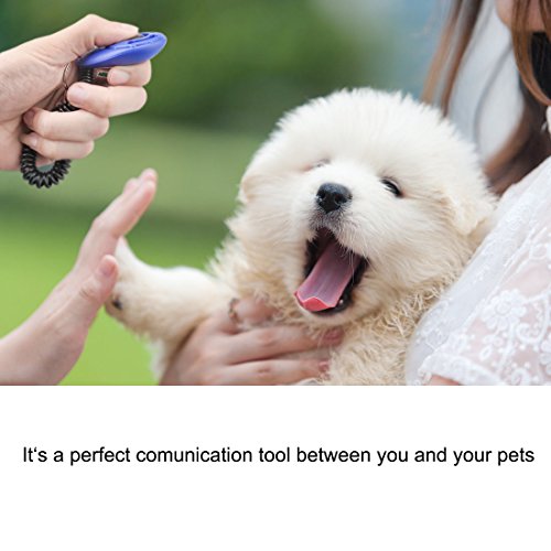 Poodle Dog Clicker Set - 4 Multicolor Training Clickers