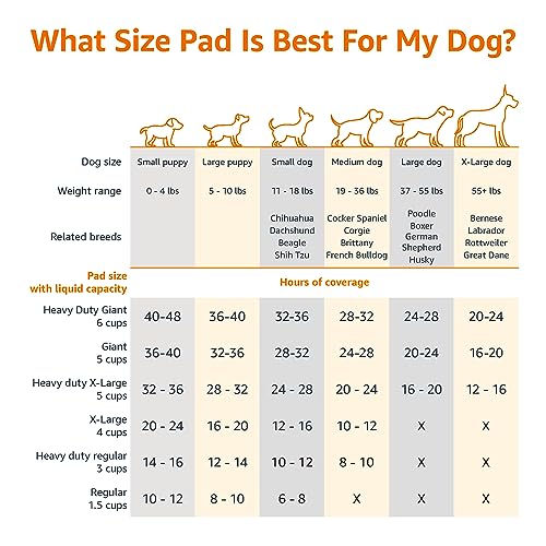 Poodle Potty Training Pee Pads, Pack of 100