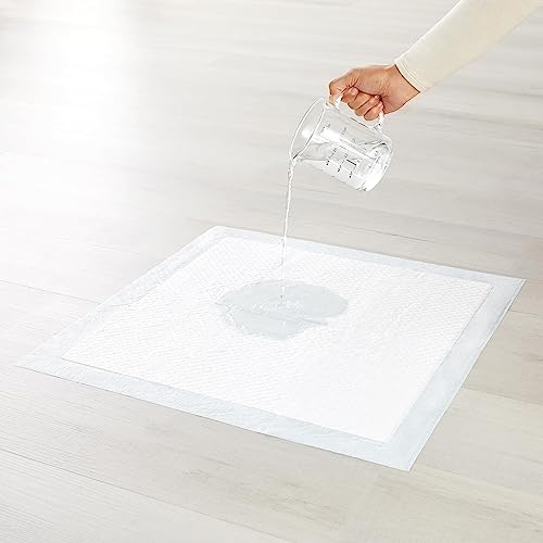 Poodle Potty Training Pee Pads, Pack of 100