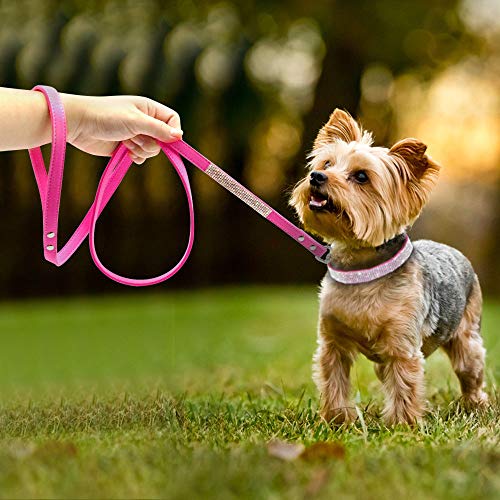 Sparkling Rhinestone Poodle Dog Collar and Leash Set
