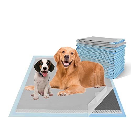 Activated Carbon Puppy Pads, XL Size, 40-Count