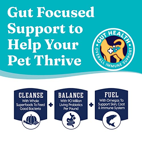 Poodle-friendly Gut Health Dry Dog Food