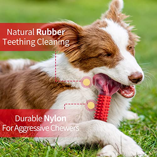 Medium Dog Chew Toy Set for Poodle Dogs