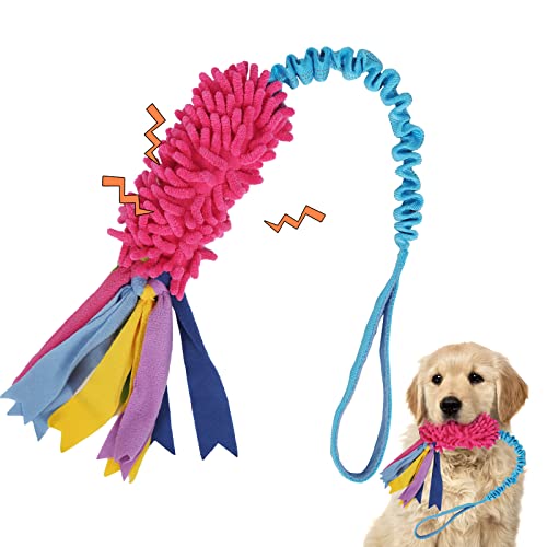 Strong Squeaky Dog Tug Toy - Ideal for Aggressive Chewers
