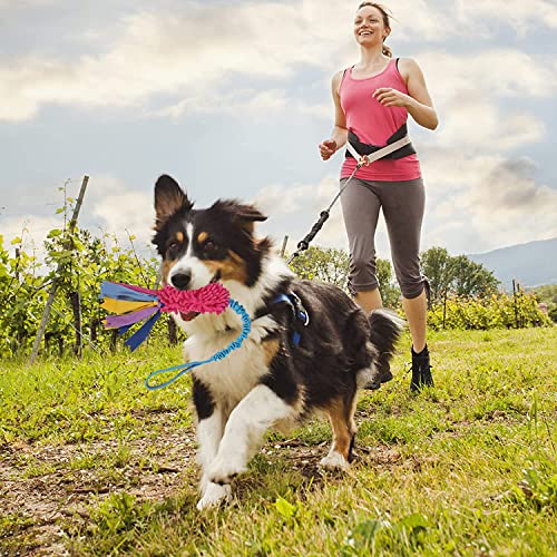 Strong Squeaky Dog Tug Toy - Ideal for Aggressive Chewers