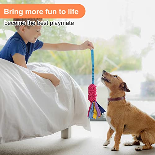 Strong Squeaky Dog Tug Toy - Ideal for Aggressive Chewers