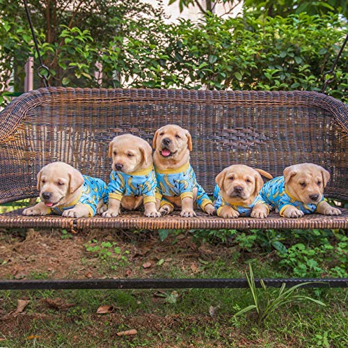 Poodle Dog Pajamas - CuteBone Banana Jumpsuit