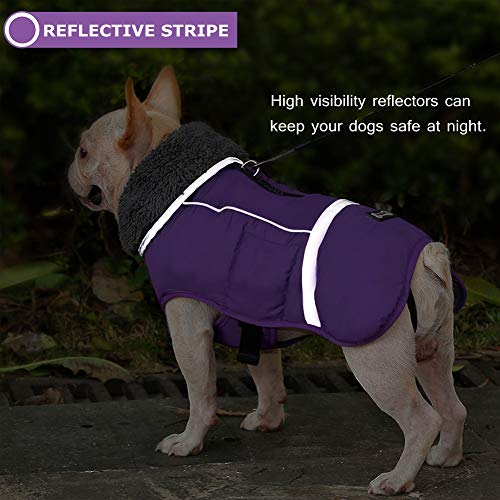 Reflective Waterproof Poodle Dog Winter Coat