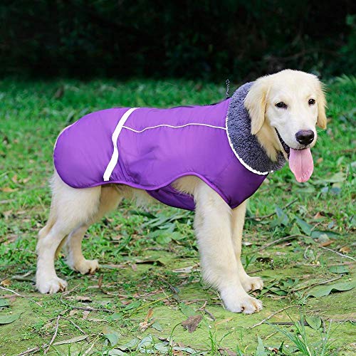 Reflective Waterproof Poodle Dog Winter Coat