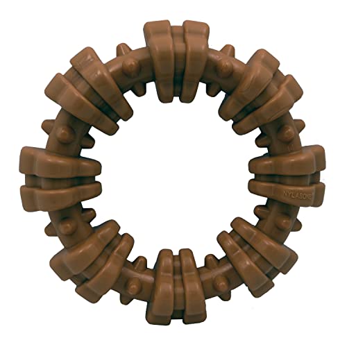 Poodle-Friendly Nylabone Chew Ring - Tough Textured Toy
