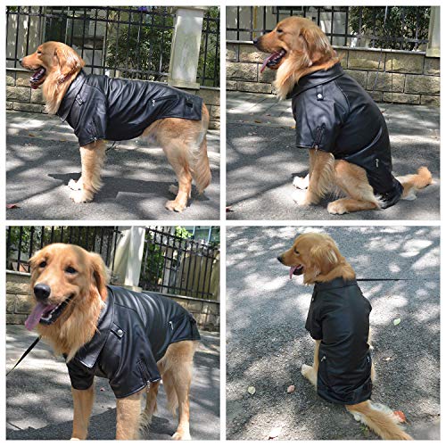 Stylish Leather Jacket for Poodles - Weatherproof & Warm