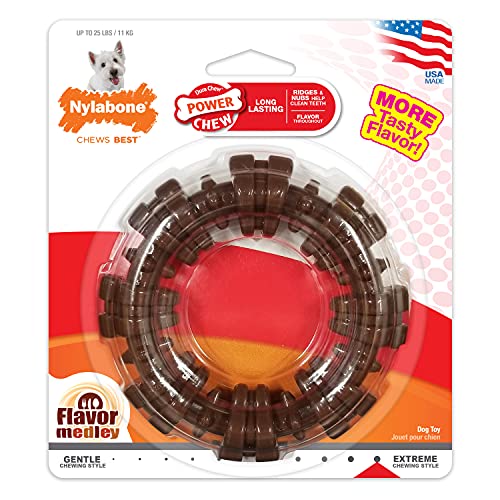 Poodle-Friendly Nylabone Chew Ring - Tough Textured Toy