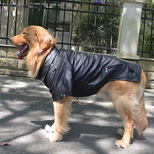 Stylish Leather Jacket for Poodles - Weatherproof & Warm