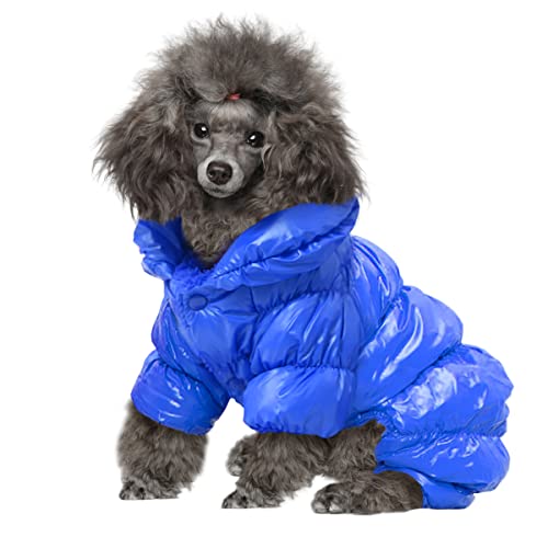 Winter Coats for Small Poodles - Warm & Waterproof