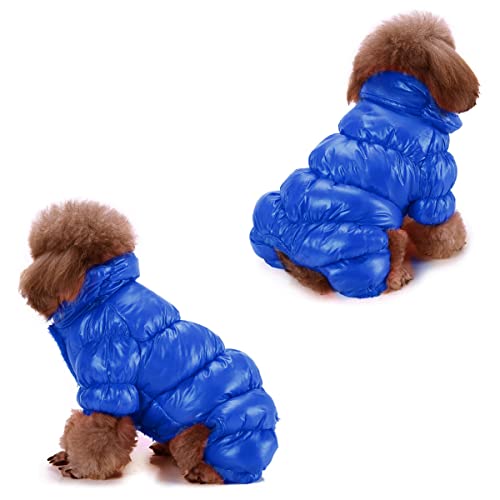 Winter Coats for Small Poodles - Warm & Waterproof