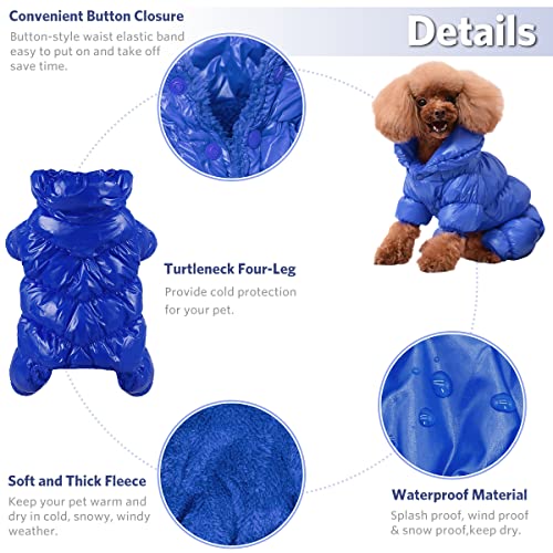 Winter Coats for Small Poodles - Warm & Waterproof