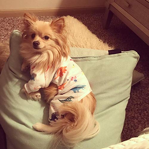 Poodle Pajamas: Cute Dinosaur Jumpsuit for Dogs