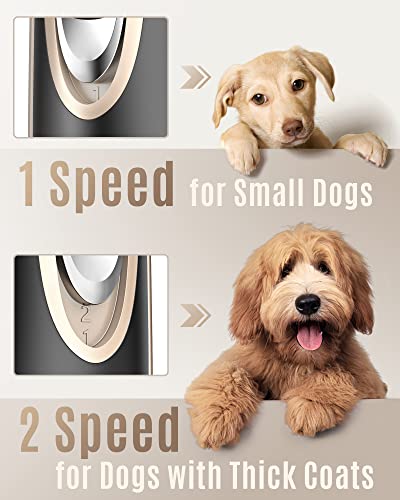 Poodle Dog Clippers: Silent, 2-Speed Grooming Kit