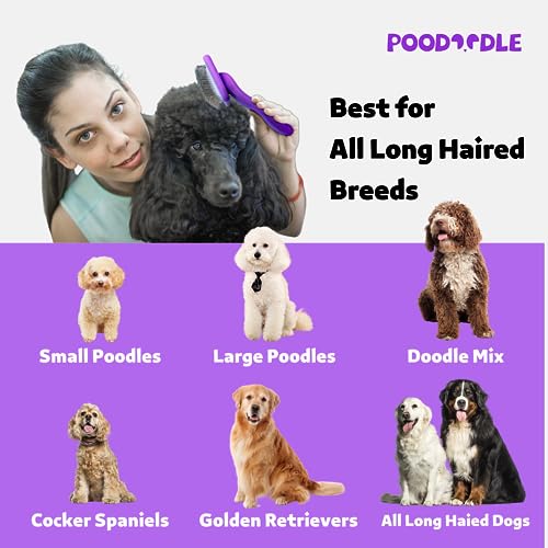 Poodle Brush: Long Pin Wood Dog Brush for Doodles