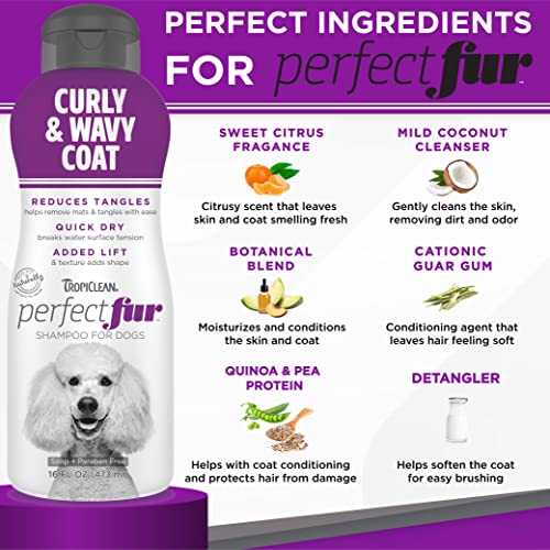 16oz TropiClean Poodle Dog Shampoo: Ideal for Curly & Wavy Fur