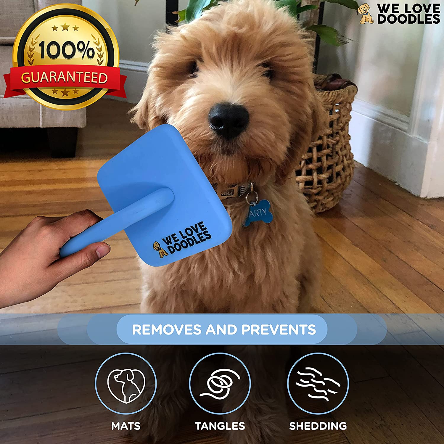 Poodle Dog Slicker Brush for Grooming Doodles