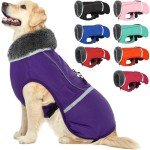 Reflective Waterproof Poodle Dog Winter Coat