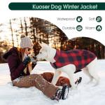 Kuoser Reversible Poodle Dog Winter Coat, Red