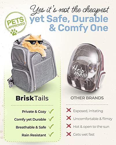 BriskTails Cat Backpack Carrier - Expandable and Breathable - BT-01 Cat Carrier Backpacks for Comfy Long Walks - from Kitty to Medium-Size cat up to 15lbs