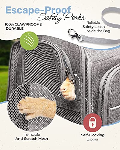 BriskTails Cat Backpack Carrier - Expandable and Breathable - BT-01 Cat Carrier Backpacks for Comfy Long Walks - from Kitty to Medium-Size cat up to 15lbs