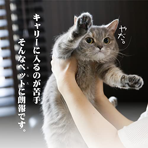 Bengal Cat Travel Crate with EZ Load Drawer