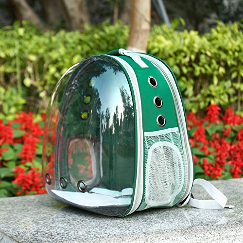 Airline Approved Bengal Cat Backpack Carrier