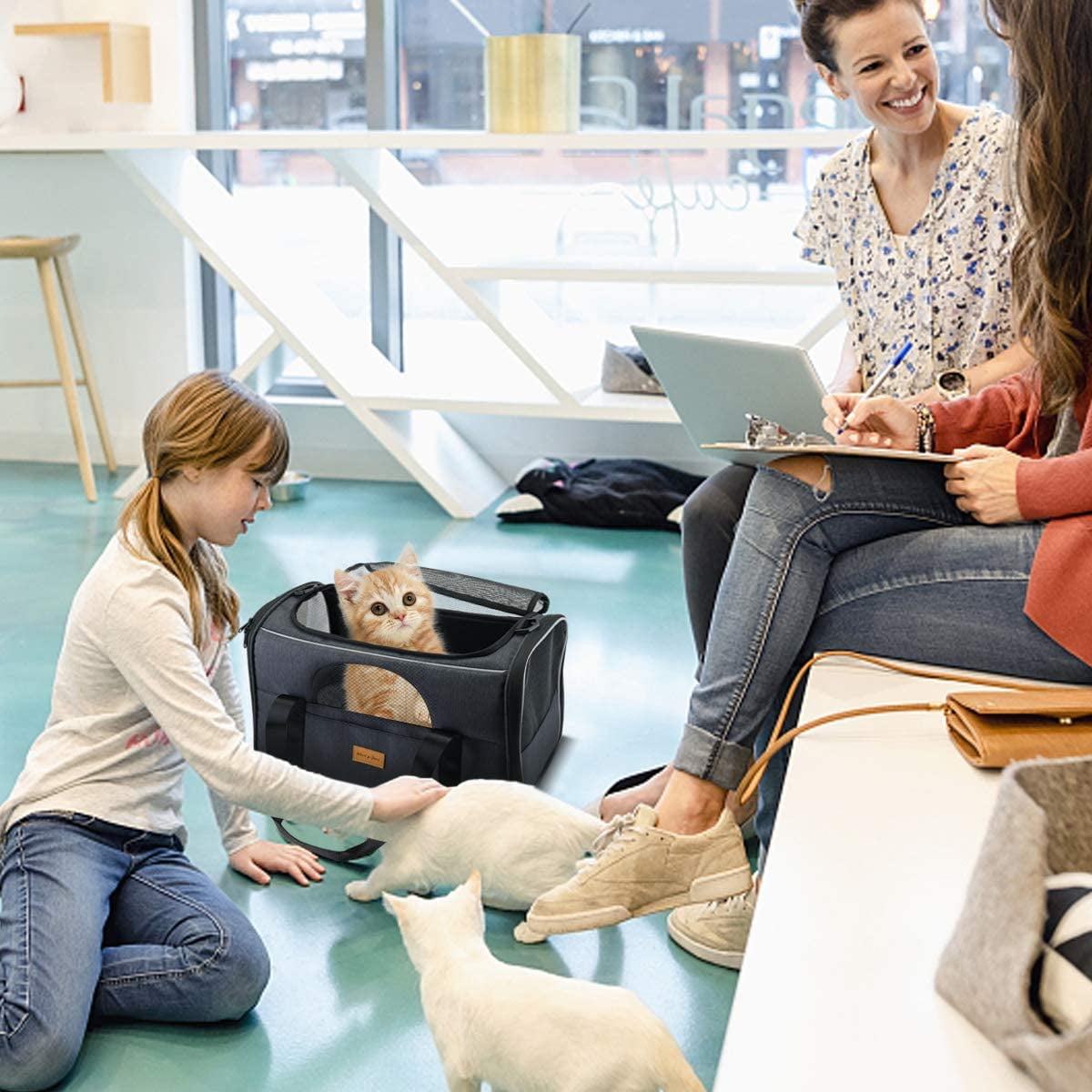 Extra Large Gray Cat Carrier with Bowl