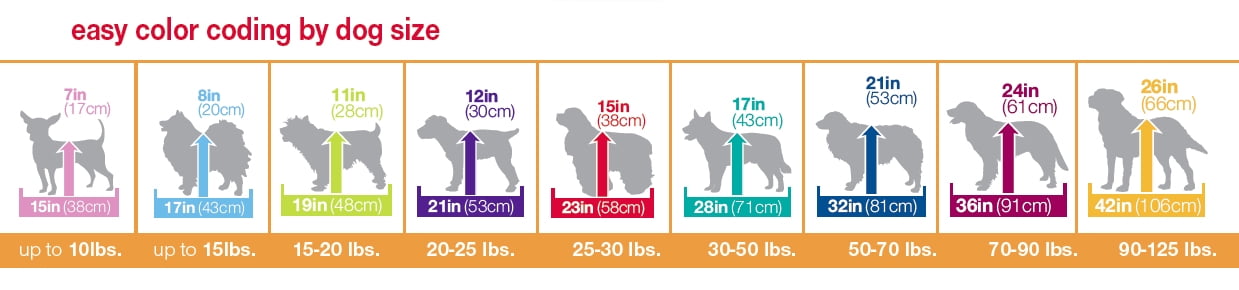 Bengal Cat-Sized Hard Kennel Carrier, 28in