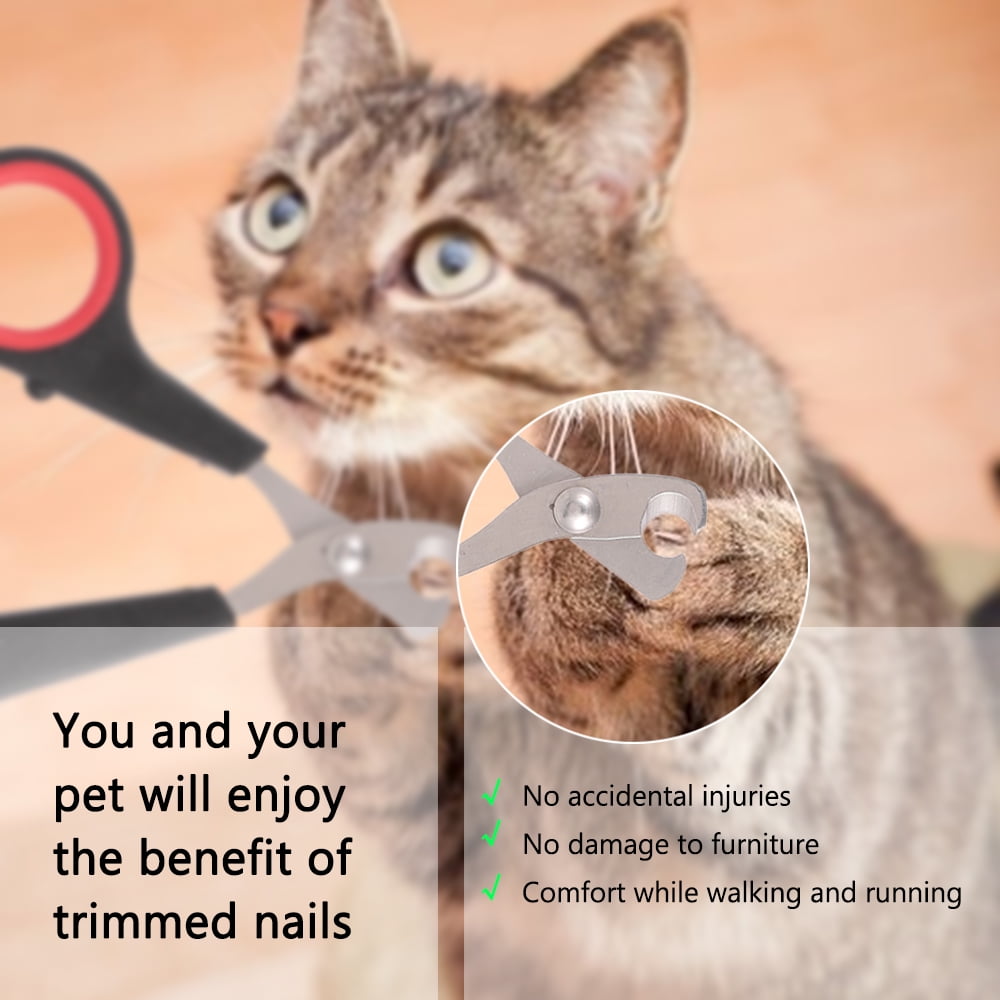 Bengal Cat Nail Clipper - Professional Grooming Tool