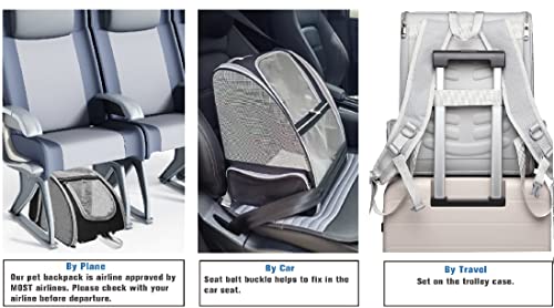 Bubble Backpack for Bengal Cat Travel