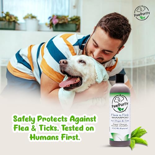 PawPurity Flea/Tick Shampoo, Natural Plant & Mineral-Based Ingredients Only, Improves Dog & Cat Skin & Coat Health, Honeysuckle-Citrus Scent, Eco Friendly Product & Packaging Made in USA (8OZ)
