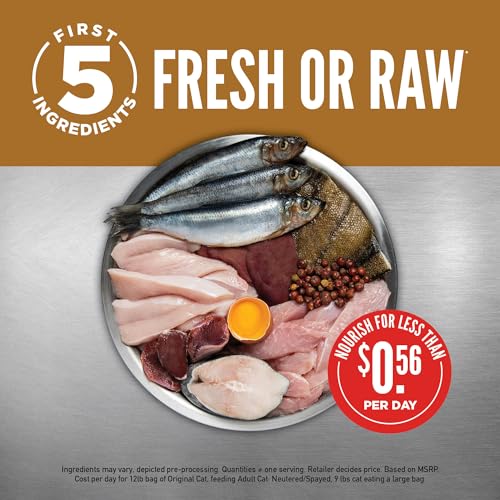 ORIJEN® Original Cat Food: High-Protein, Fresh & Premium