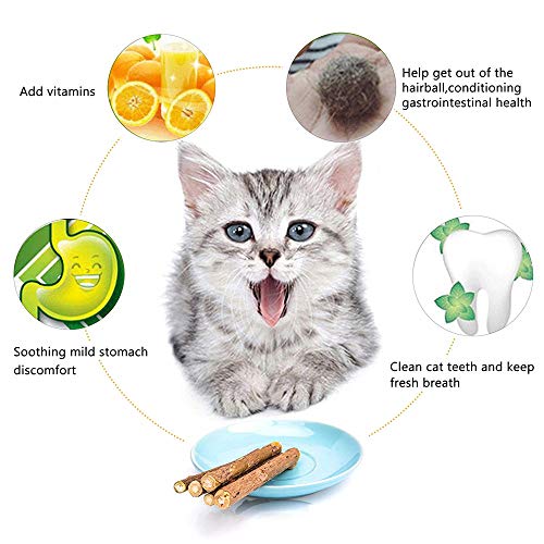 Natural Silvervine Catnip Chew Sticks (12+ pcs)