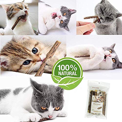 Natural Silvervine Catnip Chew Sticks (12+ pcs)