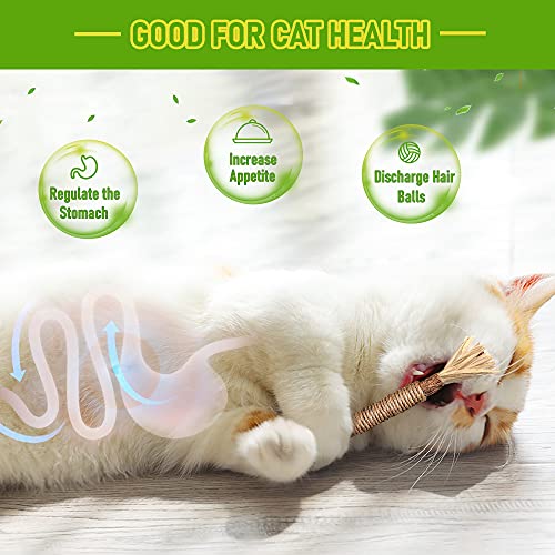 Silvervine Cat Teething and Dental Toys