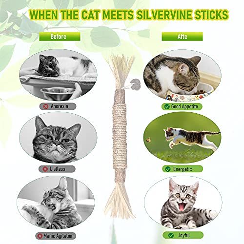Silvervine Cat Teething and Dental Toys