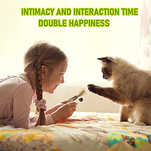 Silvervine Cat Teething and Dental Toys