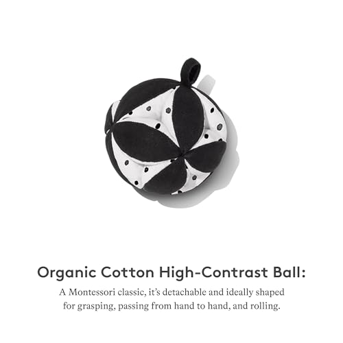 Lovevery Play Gym: Stage-Based Development for Baby