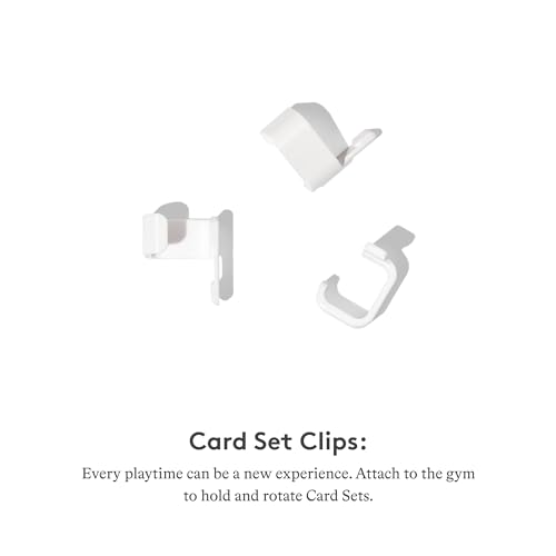 Lovevery Play Gym: Stage-Based Development for Baby