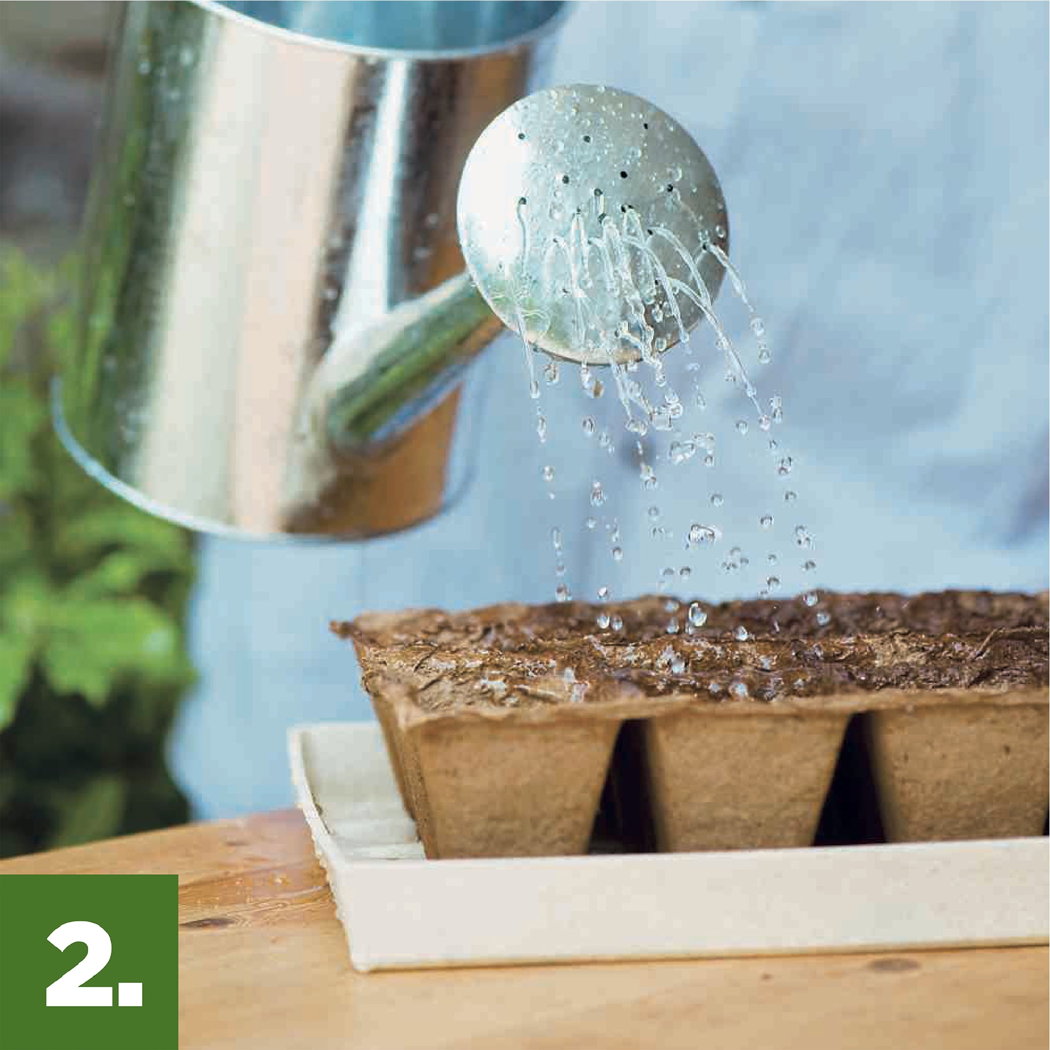 Organic seed starting mix, 16 quart