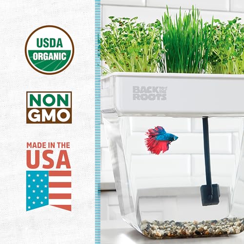 3 Gallon Aquaponic Indoor Garden with Fish Support