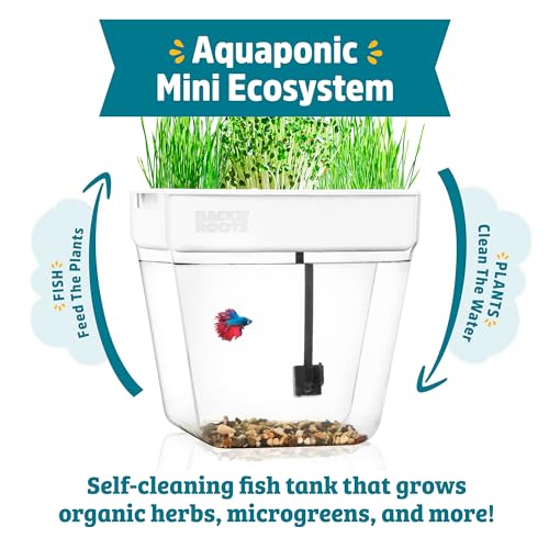 3 Gallon Aquaponic Indoor Garden with Fish Support